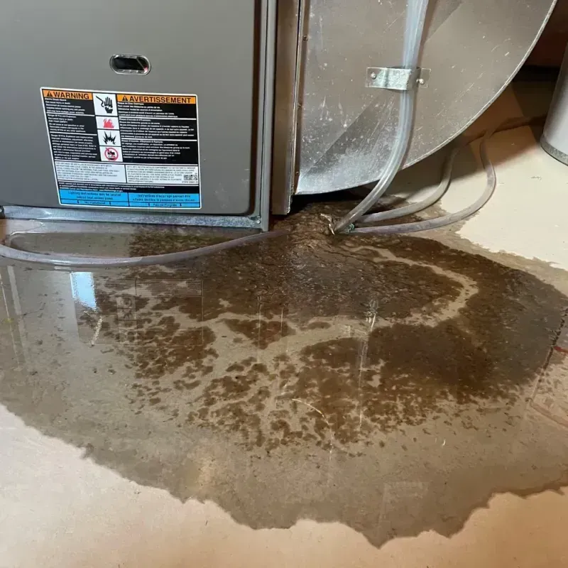 Appliance Leak Cleanup in Oak Leaf, TX